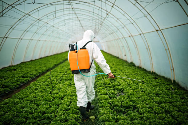 Best Mosquito Control Services  in Roseland, FL