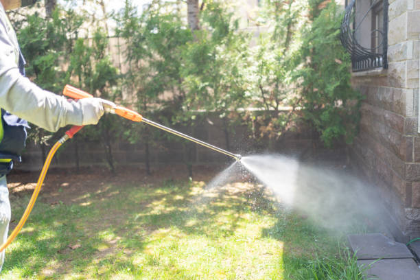 Best Flea Control Services  in Roseland, FL
