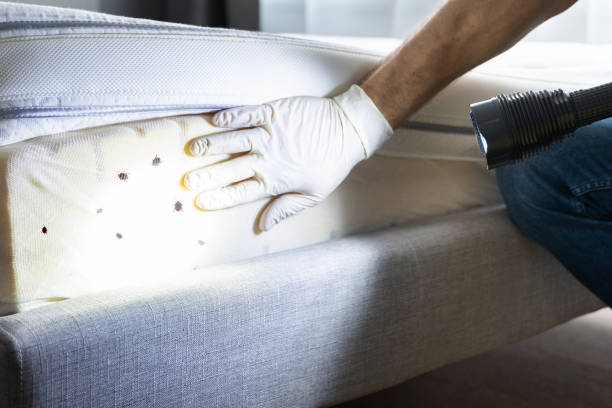 Wildlife Control Services in Roseland, FL
