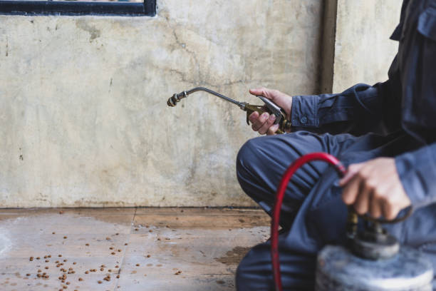 Best Pest Inspection Near Me  in Roseland, FL