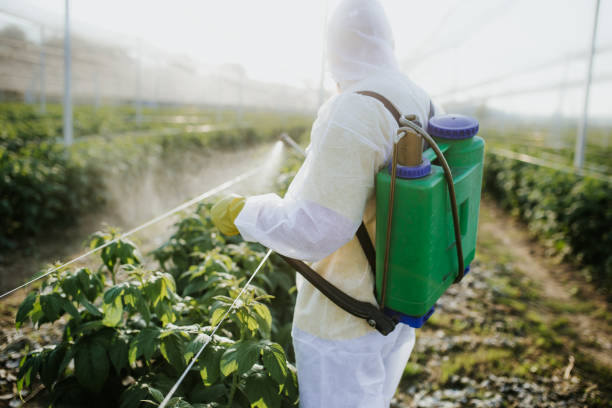 Wildlife Control Services in Roseland, FL